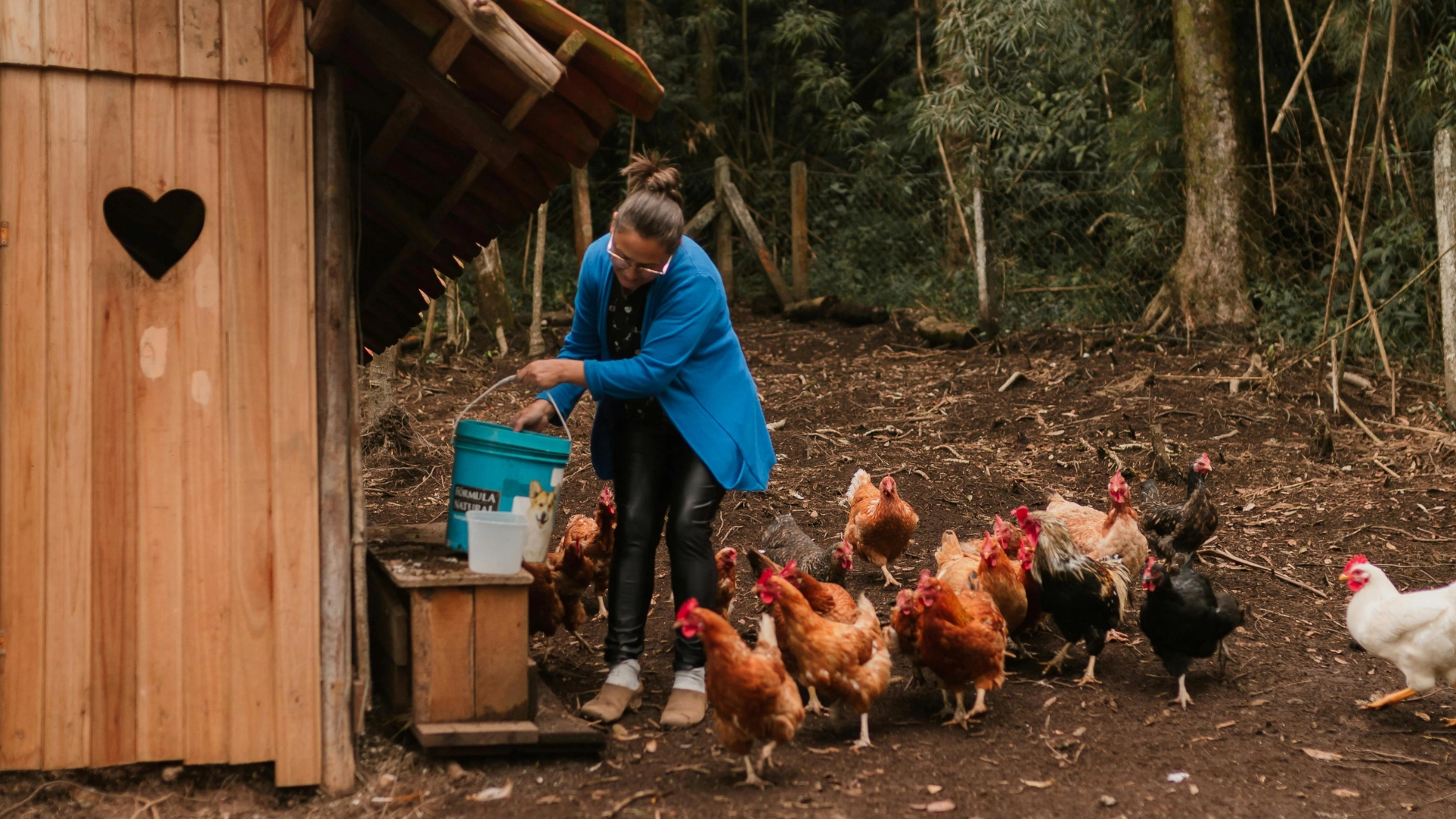 Backyard chicken keeper feeding hens beside wooden coop in natural outdoor setting